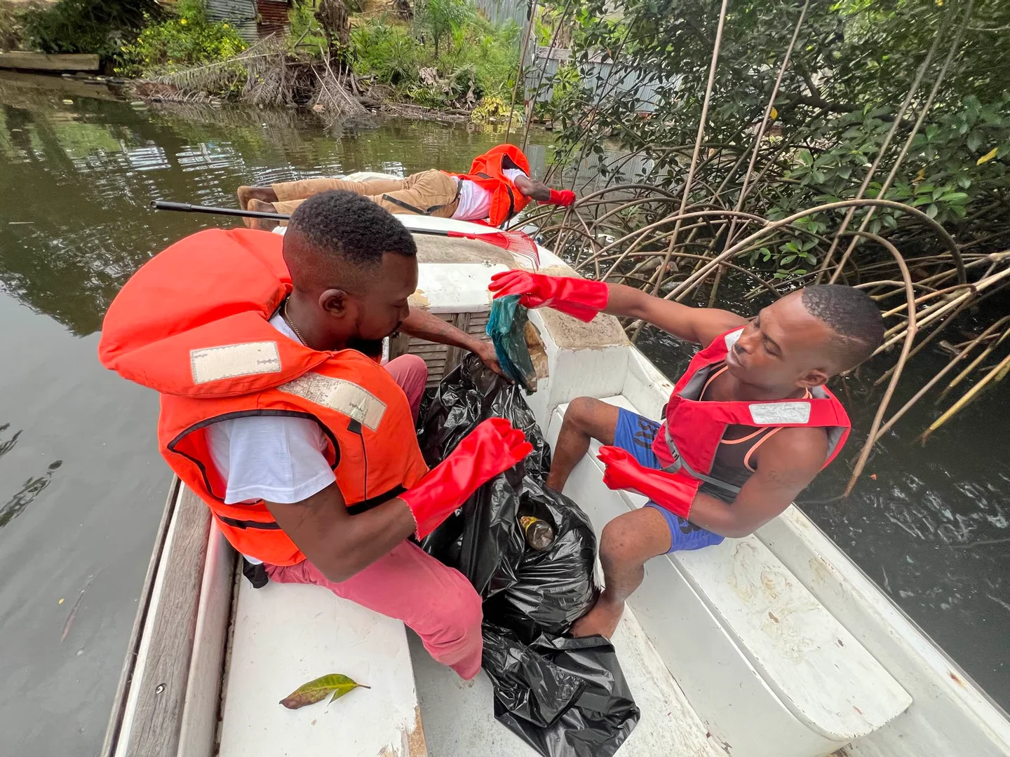 Nettoyage des Mangroves de la Rivière Tsini : Un Combat Contre la Pollution Plastique