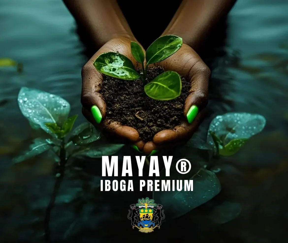 Mains tenant plant MAYAY® Iboga Premium