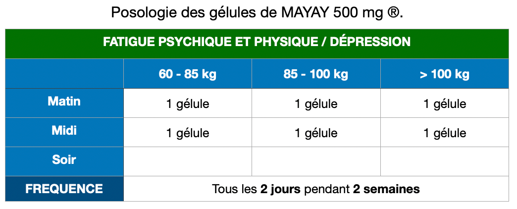 Posologie MAYAY 500mg: fatigue physique et psychique/dépression